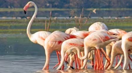 Bundala National Park